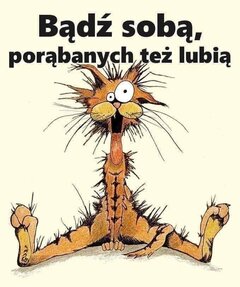 FB_IMG_1695446921335.jpg