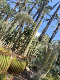 IMG_5075.jpeg