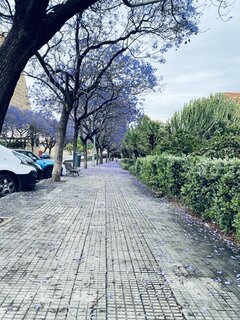 IMG_5266.jpeg