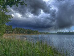 IMG_2522.jpeg