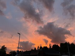 IMG_3685.jpeg