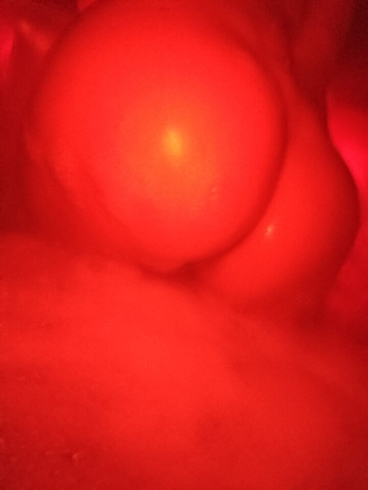1000034686.jpg - sszukamy