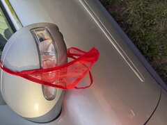 IMG_0754.jpeg