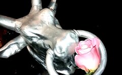 IMG_20250524_222545.jpg