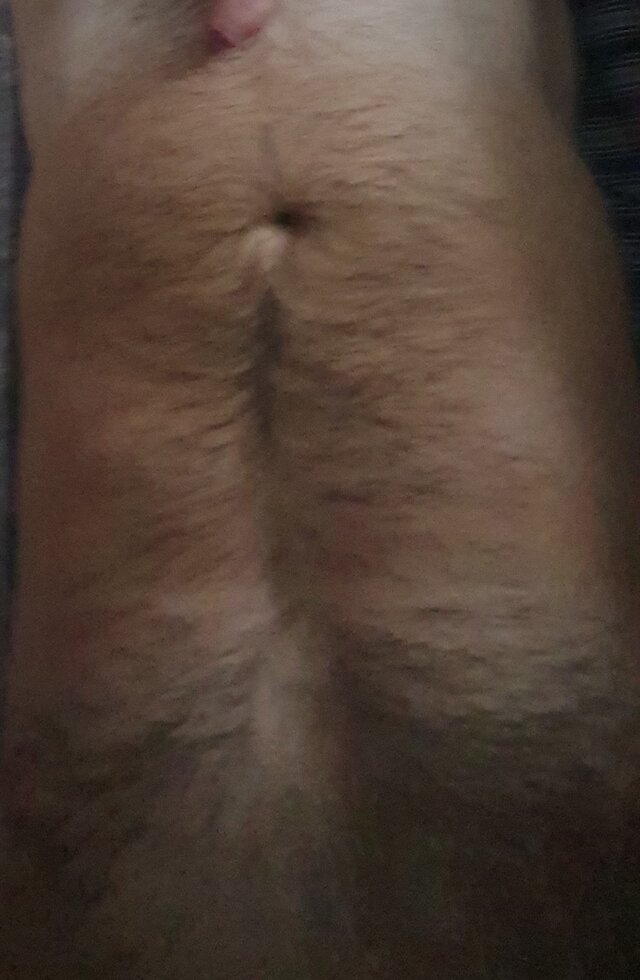 Unibbi