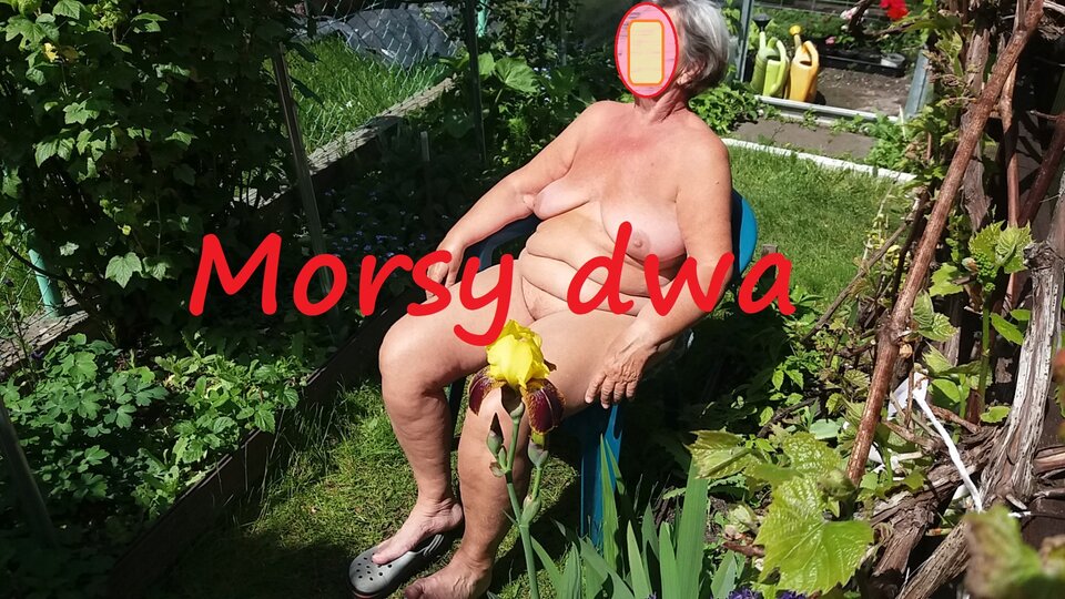 W słoneczku. - Morsy_dwa