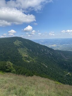 IMG_5179.jpeg