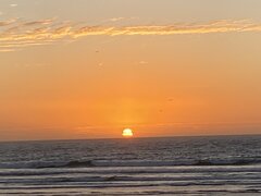 IMG_4666.jpeg