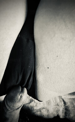 IMG_7127.jpeg