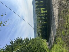 IMG_3220.jpeg