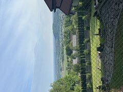IMG_3221.jpeg