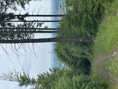 IMG_3243.jpeg