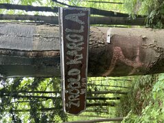 IMG_3244.jpeg