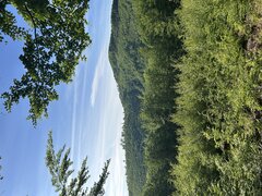 IMG_3233.jpeg