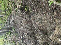 IMG_3228.jpeg
