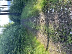 IMG_3231.jpeg