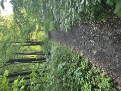 IMG_3225.jpeg
