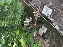 IMG_3249.jpeg