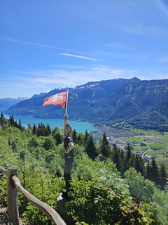 20250530_105407.jpg