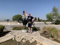 IMG_2720.jpeg