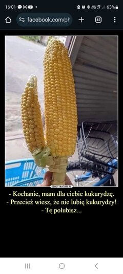 1000016898.jpg