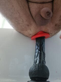 337.jpg