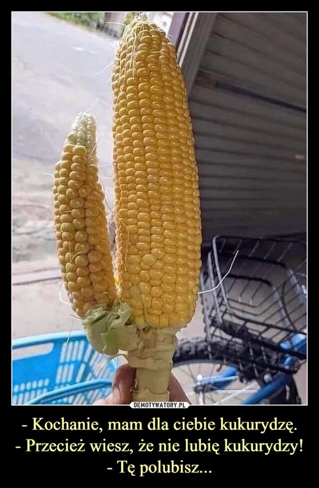 shrek707