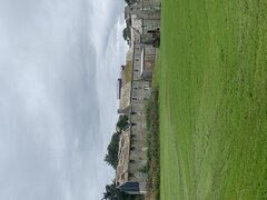 IMG_2368.jpeg
