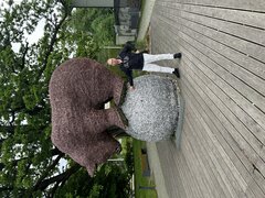 IMG_3284.jpeg