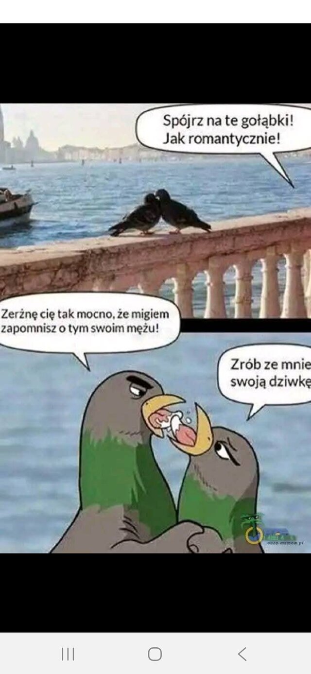 Zwykly197