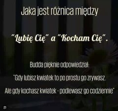 IMG_0012.jpeg