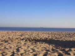 IMG_20210614_072101.jpg