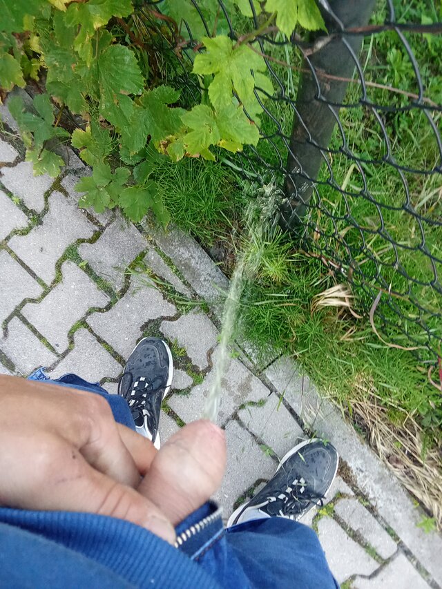 Krzys2017