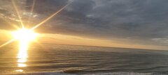IMG_20250602_204033.jpg