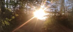 IMG_20250606_203980.jpg
