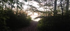 IMG_20250626_210431.jpg
