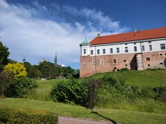 IMG_20250601_155830488.jpg
