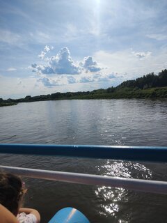 IMG_20250601_164419962.jpg