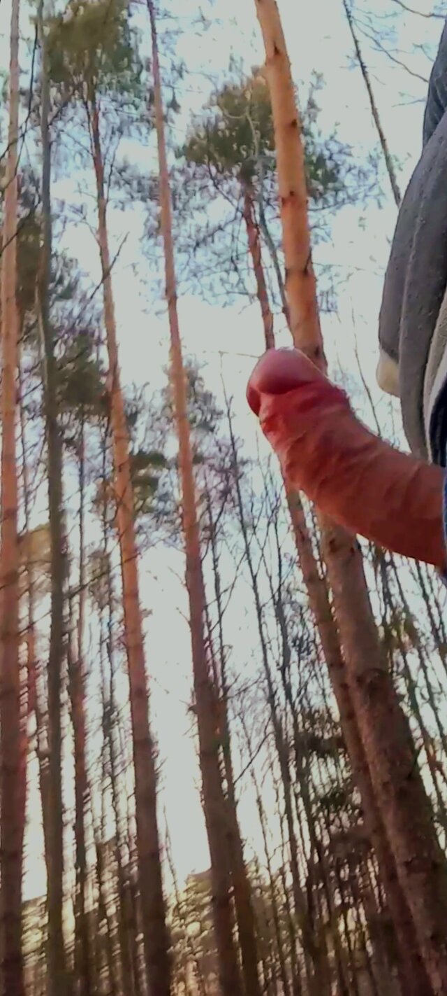 PlenerowyLive