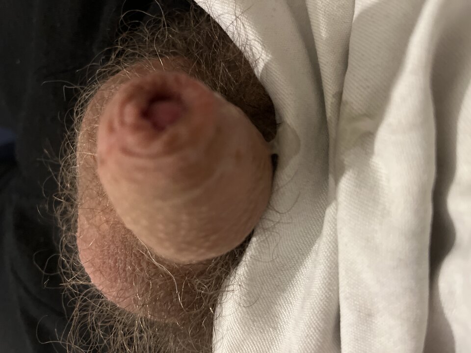 image.jpg - tom745