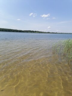 IMG_20250604_140639.jpg