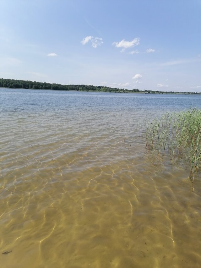 szogi1