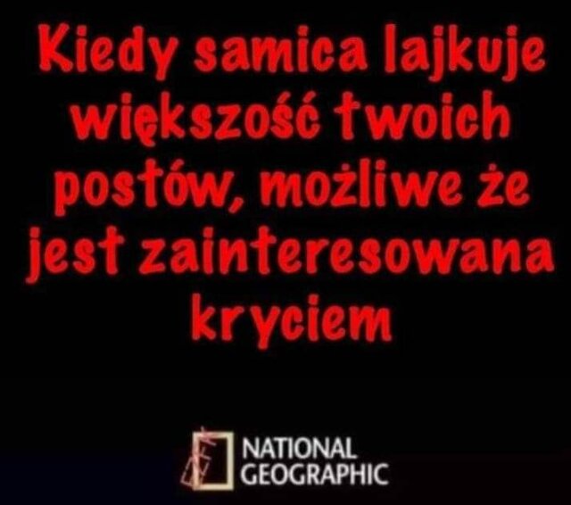 1000042304.jpg - RS_V12