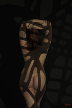 shadows 1.jpg
