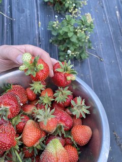 IMG_5489.jpeg