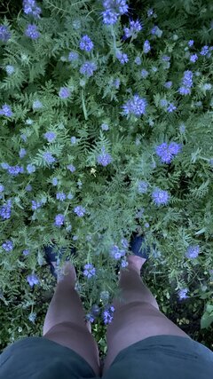 IMG_5494.jpeg