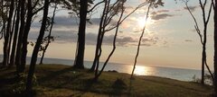 IMG_20250606_191820.jpg