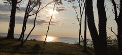 IMG_20250624_191917.jpg
