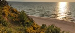 IMG_20250606_193405.jpg