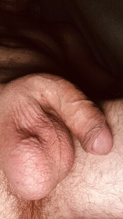 IMG_7735.jpeg